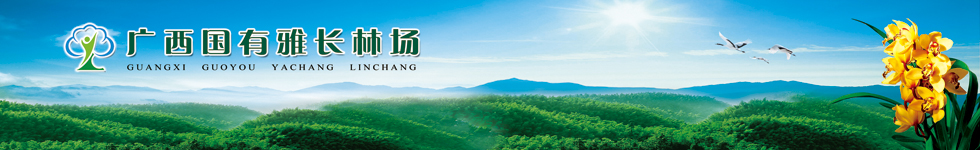 ����ͼƬ��