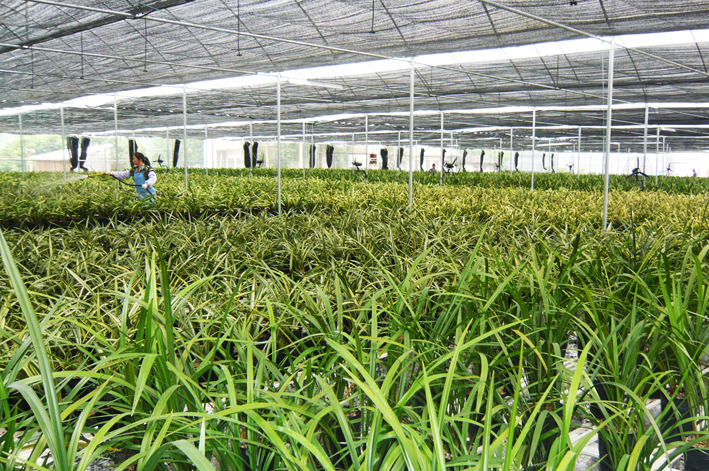 ������������