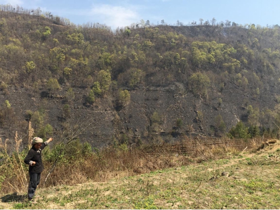 ͼΪ��ĳָ���ֳ�