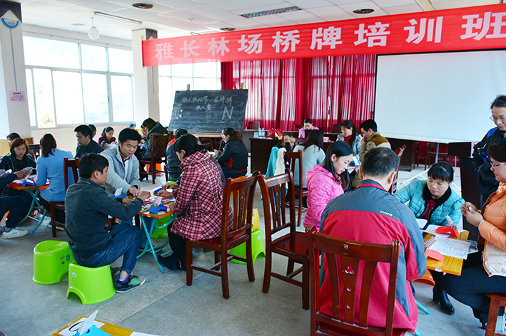 ����˫����������