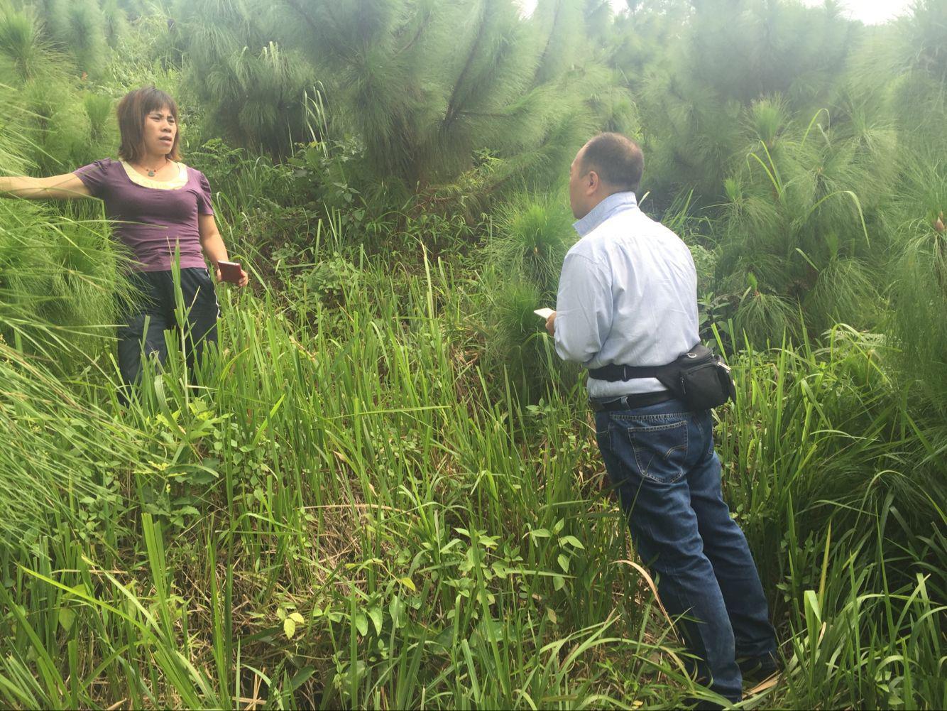 ��˹����ں˲�̶�����