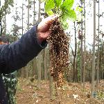 ���¾���