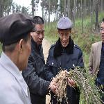 ���¾���