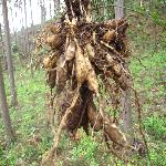 ���¾���