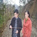 ���쵼�����й���