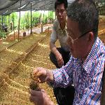 ���쵼�����й���